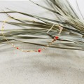 IMG_5704.jpeg