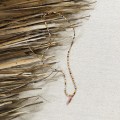 IMG_6659.jpeg