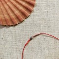 IMG_7217.jpeg
