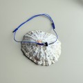 IMG_5129 2.jpeg